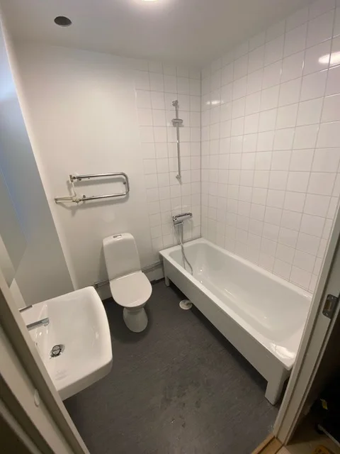 Badrumsrenovering (1)